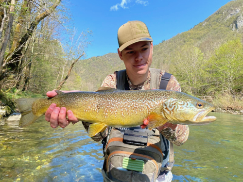 08874e57-94e0-4892-9063-8cbefb65ef12-1