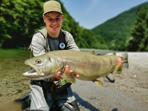 6038ece9-2def-4e67-b6c9-19337dba55ef-1