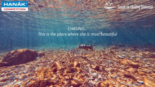 chasing